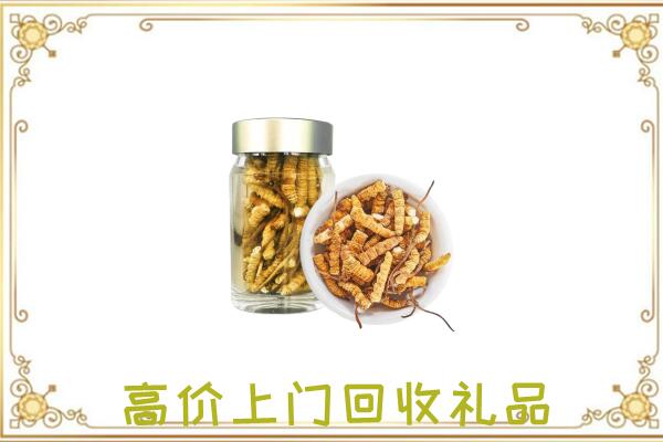 荣昌周边回收虫草